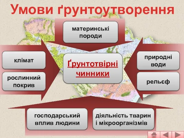 Умови ґрунтоутворення клімат Ґрунтотвірні чинники природні води рельєф рослинний покрив