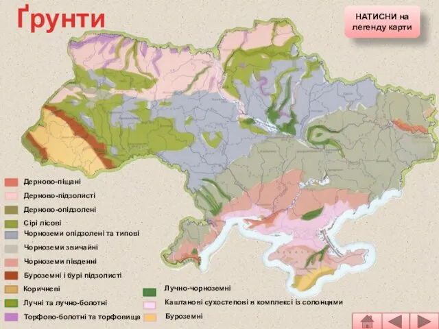 Дерново-піщані Дерново-підзолисті Дерново-опідзолені Сірі лісові Чорноземи опідзолені та типові Чорноземи