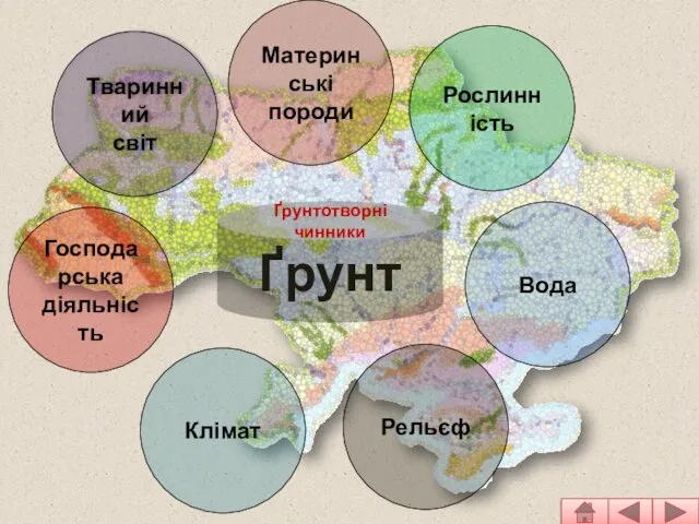 Тваринний світ Материнські породи Рослинність Вода Рельєф Клімат Господарська діяльність Ґрунт Ґрунтотворні чинники