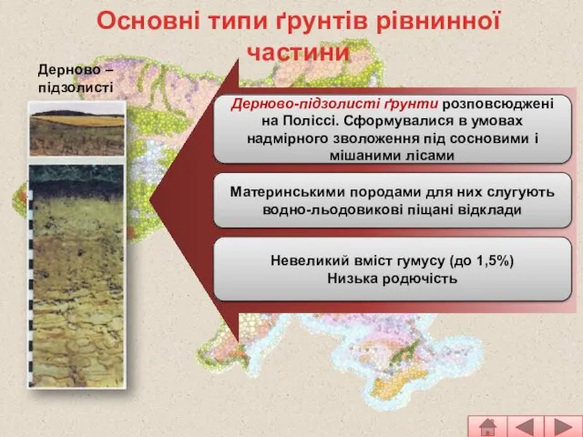 Основні типи ґрунтів рівнинної частини Дерново – підзолисті Дерново-підзолисті ґрунти