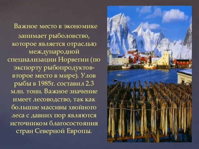 Важное место в экономике занимает рыболовство, которое является отраслью международной