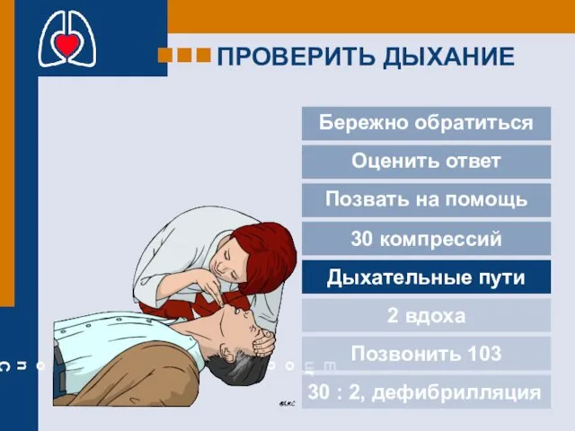 ПРОВЕРИТЬ ДЫХАНИЕ Бережно обратиться 30 компрессий Дыхательные пути 2 вдоха