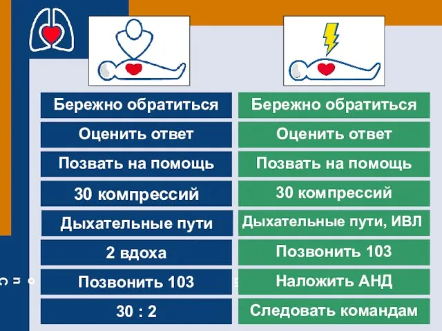 Бережно обратиться 30 компрессий Дыхательные пути 2 вдоха Позвонить 103