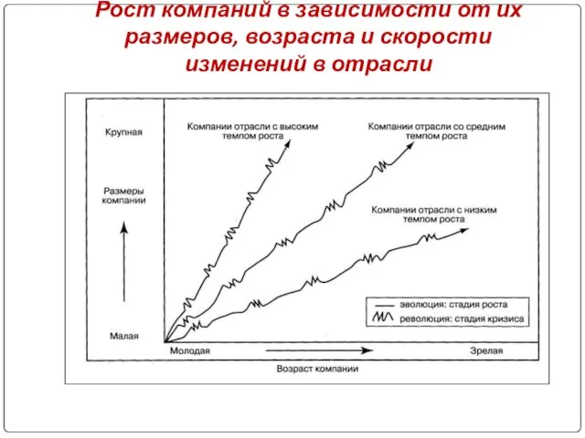 Рост компаний в зависимости от их размеров, возраста и скорости изменений в отрасли