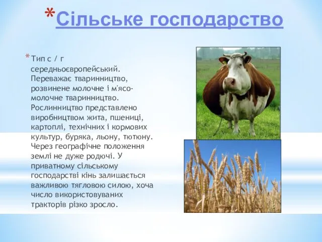 Сільське господарство Тип с / г середньоєвропейський. Переважає тваринництво, розвинене молочне і м'ясо-молочне