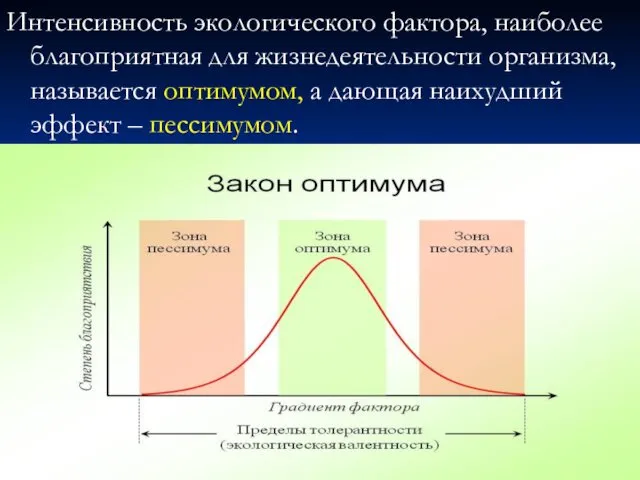 Интенсивность экологического фактора, наиболее благоприятная для жизнедеятельности организма, называется оптимумом, а дающая наихудший эффект – пессимумом.