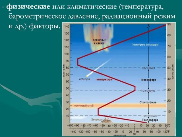 - физические или климатические (температура, барометрическое давление, радиационный режим и др.) факторы.