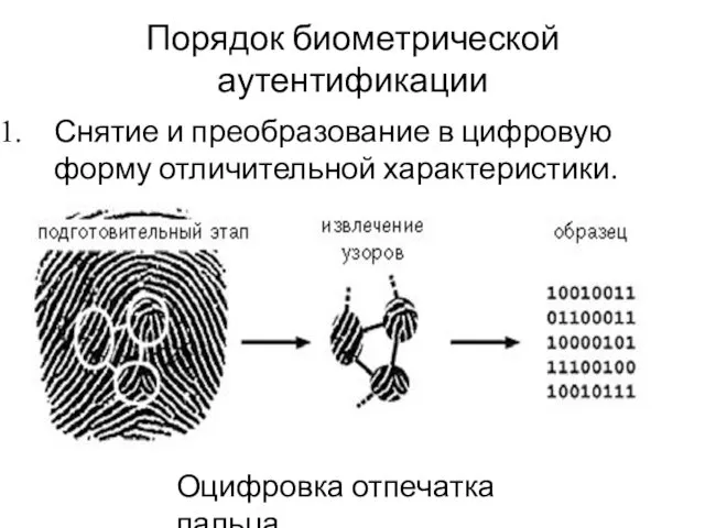 Порядок биометрической аутентификации Снятие и преобразование в цифровую форму отличительной характеристики. Оцифровка отпечатка пальца