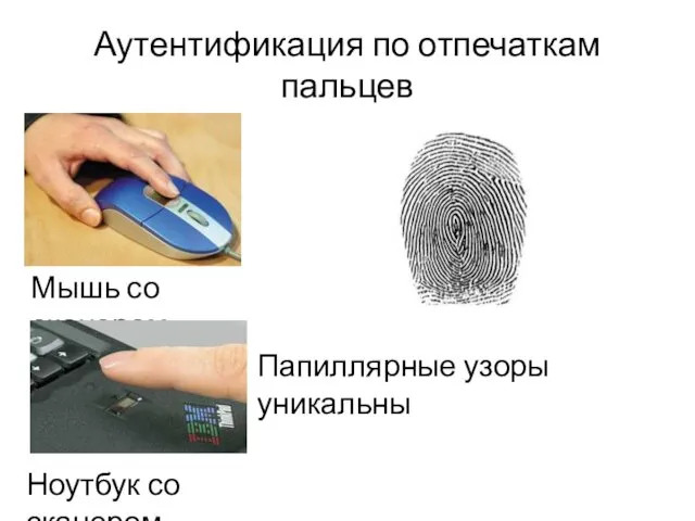Аутентификация по отпечаткам пальцев Мышь со сканером Папиллярные узоры уникальны Ноутбук со сканером