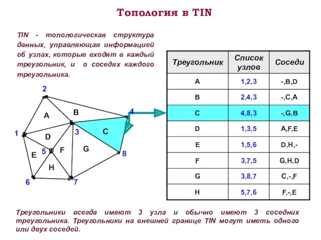 Топология в TIN TIN - топологическая структура данных, управляющая информацией