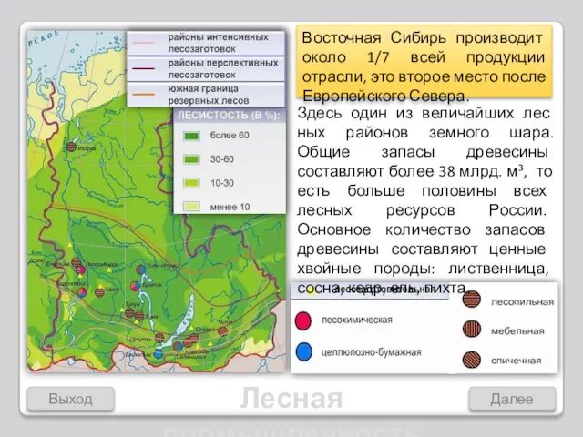Выход Далее Лесная промышленность Восточная Сибирь производит около 1/7 всей продукции отрасли, это