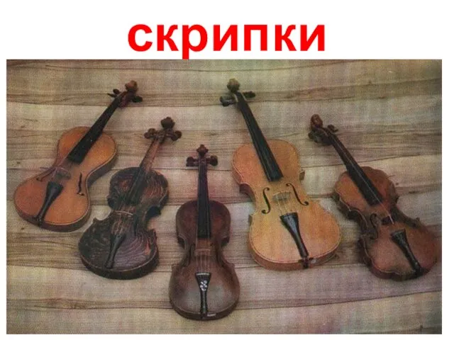скрипки