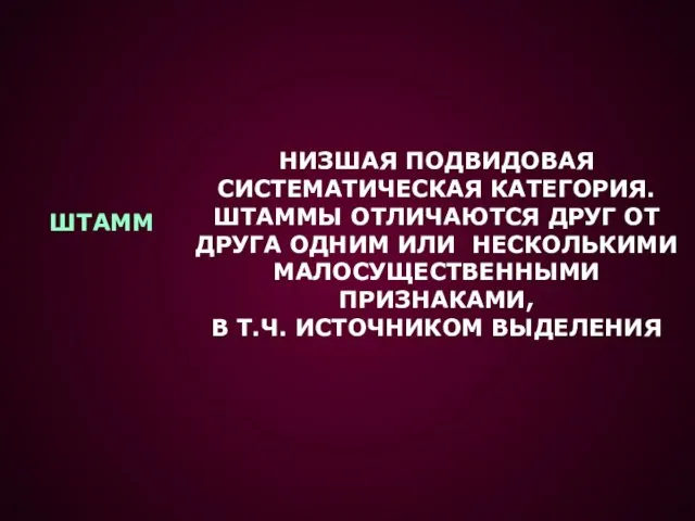 ШТАММ НИЗШАЯ ПОДВИДОВАЯ СИСТЕМАТИЧЕСКАЯ КАТЕГОРИЯ. ШТАММЫ ОТЛИЧАЮТСЯ ДРУГ ОТ ДРУГА