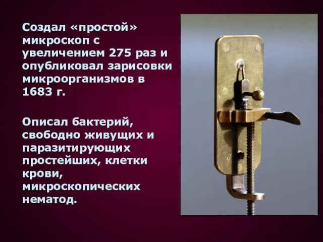 Создал «простой» микроскоп с увеличением 275 раз и опубликовал зарисовки