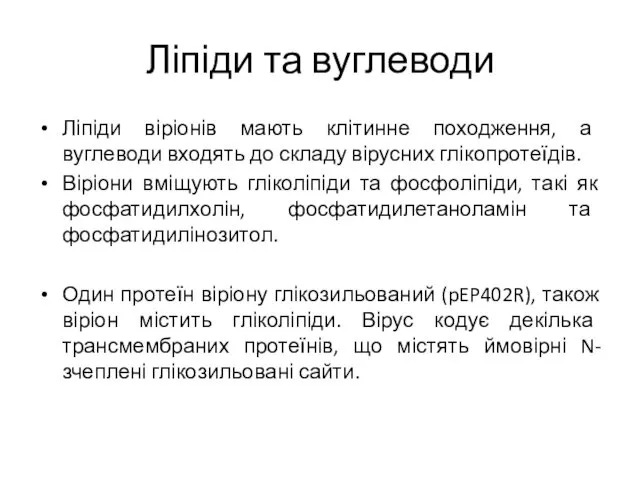 Ліпіди та вуглеводи Ліпіди віріонів мають клітинне походження, а вуглеводи