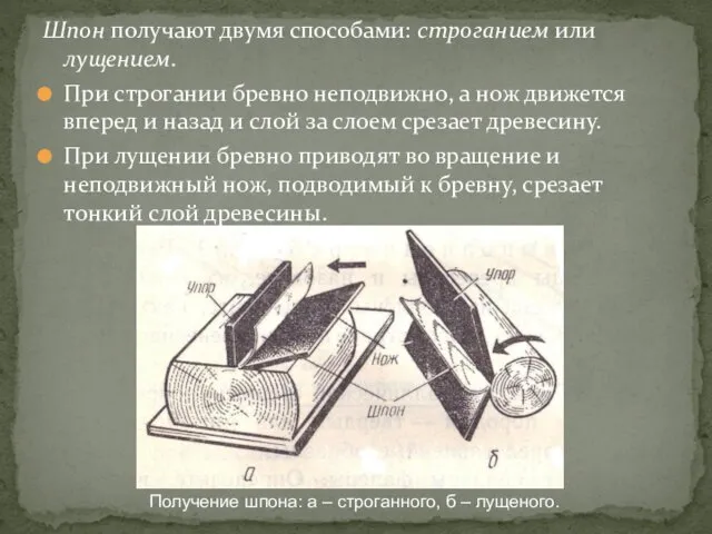 Шпон получают двумя способами: строганием или лущением. При строгании бревно