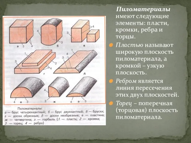 Пиломатериалы имеют следующие элементы: пласти, кромки, ребра и торцы. Пластью