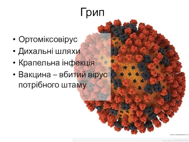 Грип Ортоміксовірус Дихальні шляхи Крапельна інфекція Вакцина – вбитий вірус потрібного штаму