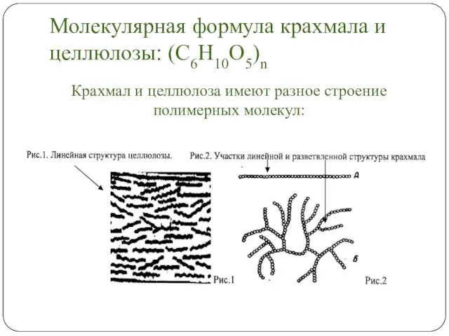 Молекулярная формула крахмала и целлюлозы: (С6Н10О5)n Крахмал и целлюлоза имеют