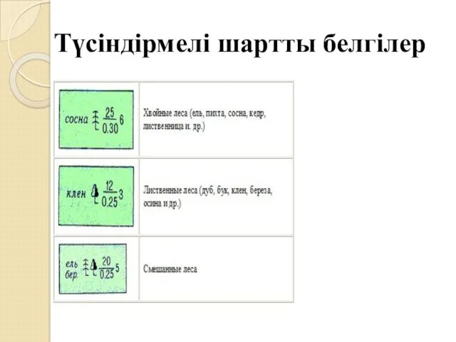 Түсіндірмелі шартты белгілер