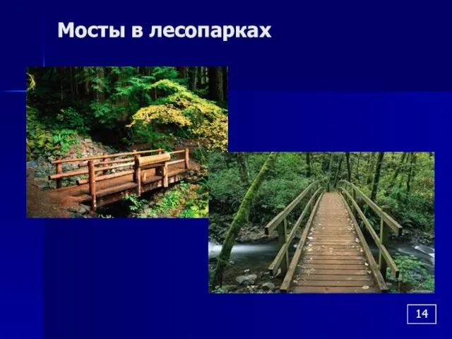 Мосты в лесопарках 14