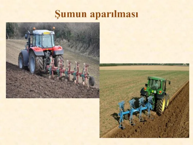 Şumun aparılması