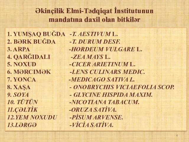 1. YUMŞAQ BUĞDA -T. AESTIVUM L. 2. BƏRK BUĞDA -T.