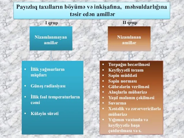 Nizamlanan amillər Payızlıq taxılların böyümə və inkişafına, məhsuldarlığına təsir edən