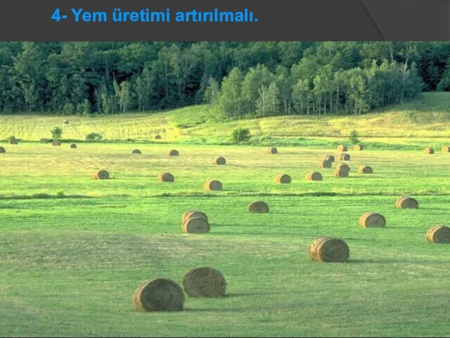 4- Yem üretimi artırılmalı.