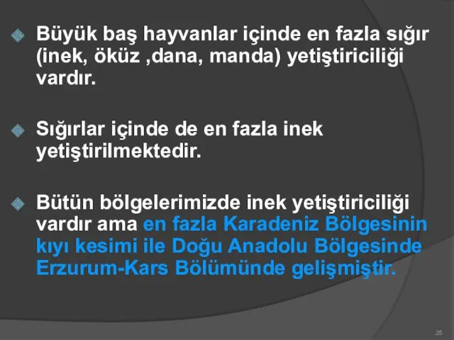 Büyük baş hayvanlar içinde en fazla sığır (inek, öküz ,dana,