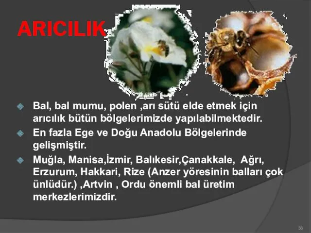 ARICILIK Bal, bal mumu, polen ,arı sütü elde etmek için