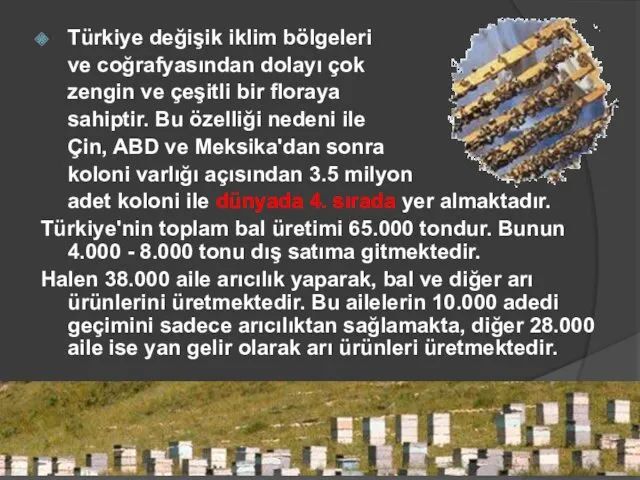 Türkiye değişik iklim bölgeleri ve coğrafyasından dolayı çok zengin ve