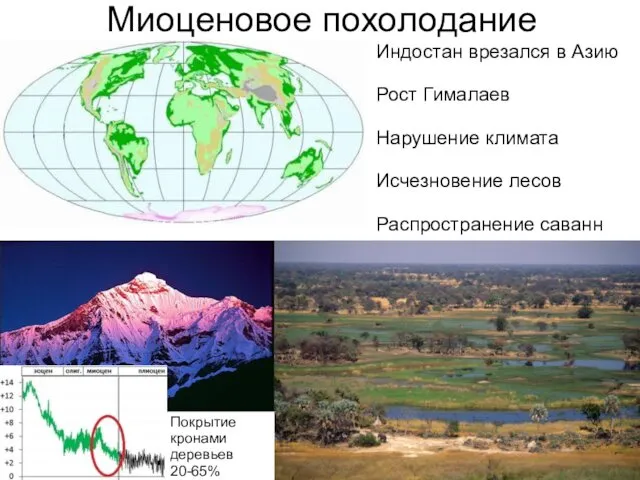 Миоценовое похолодание Индостан врезался в Азию Рост Гималаев Нарушение климата