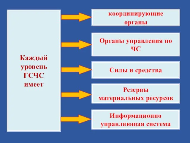 Каждый уровень ГСЧС имеет координирующие органы Органы управления по ЧС Силы и средства