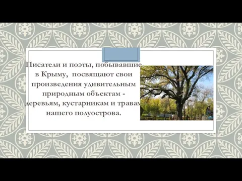 Писатели и поэты, побывавшие в Крыму, посвящают свои произведения удивительным