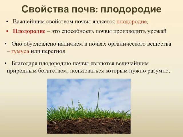 Свойства почв: плодородие Оно обусловлено наличием в почвах органического вещества – гумуса или