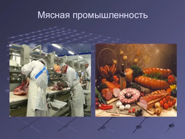 Мясная промышленность