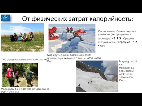 От физических затрат калорийность: Соотношение белков, жиров и углеводов (