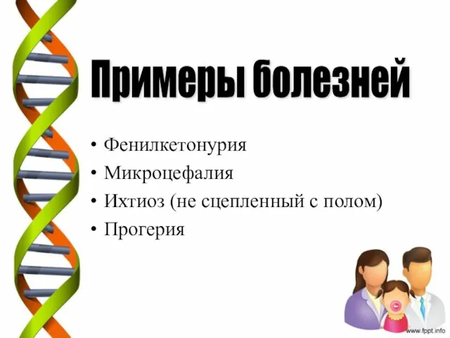 Фенилкетонурия Микроцефалия Ихтиоз (не сцепленный с полом) Прогерия Примеры болезней