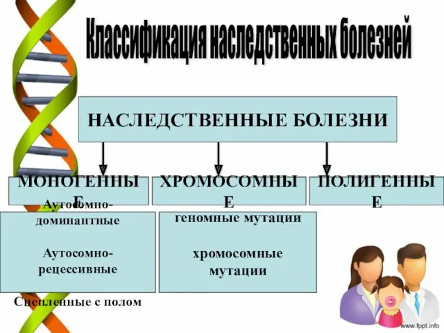 Классификация наследственных болезней МОНОГЕННЫЕ ХРОМОСОМНЫЕ ПОЛИГЕННЫЕ НАСЛЕДСТВЕННЫЕ БОЛЕЗНИ Аутосомно-доминантные Аутосомно-рецессивные