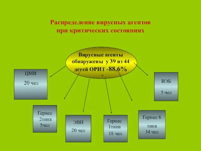 Распределение вирусных агентов при критических состояниях Вирусные агенты обнаружены у