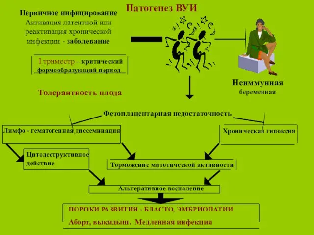 Патогенез ВУИ Неиммунная беременная I триместр – критический формообразующий период