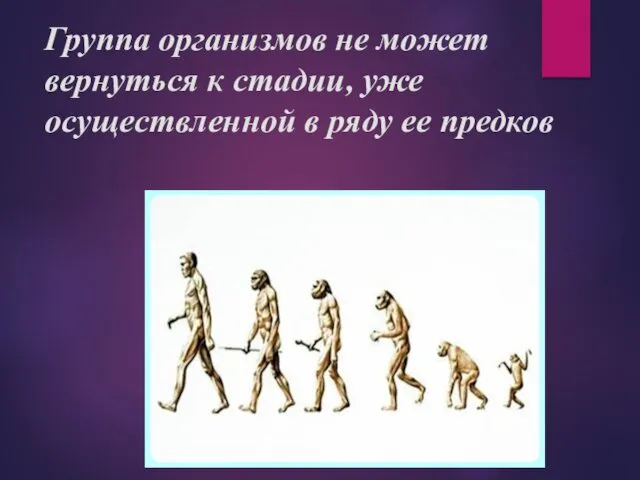 Группа организмов не может вернуться к стадии, уже осуществленной в ряду ее предков