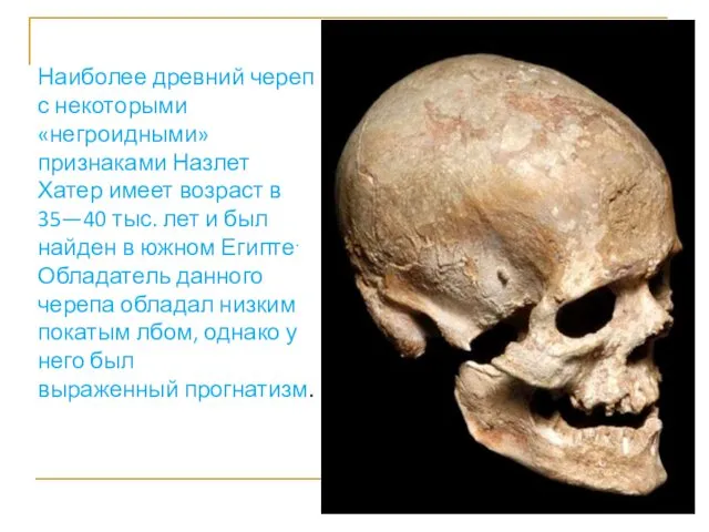 Наиболее древний череп с некоторыми «негроидными» признаками Назлет Хатер имеет