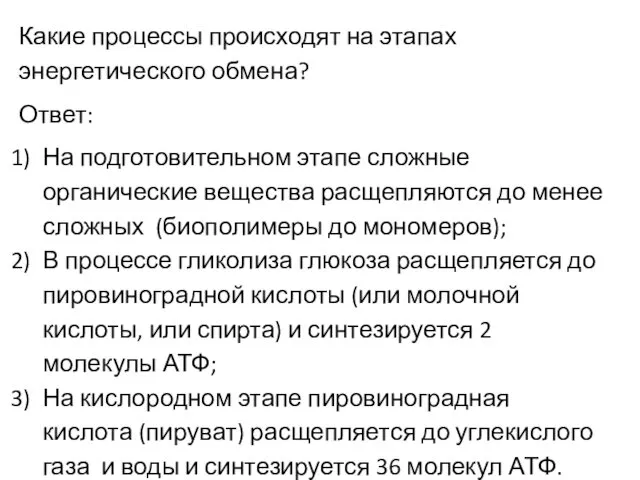 Какие процессы происходят на этапах энергетического обмена? Ответ: На подготовительном