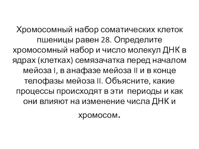 Хромосомный набор соматических клеток пшеницы равен 28. Определите хромосомный набор