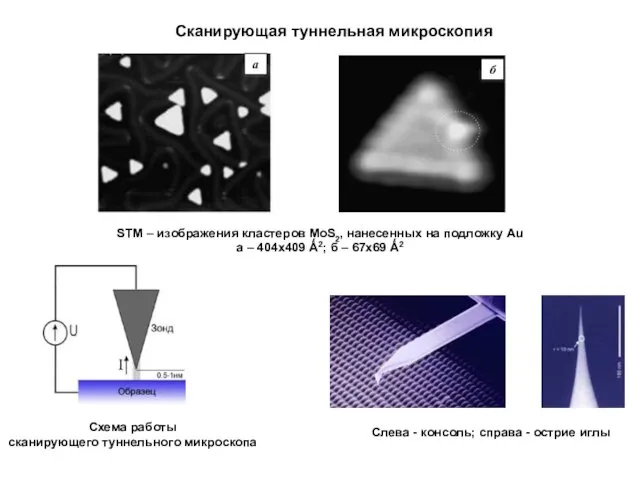 Сканирующая туннельная микроскопия a б STM – изображения кластеров MoS2,