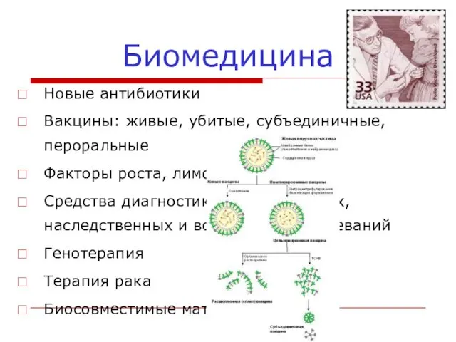 Биомедицина Новые антибиотики Вакцины: живые, убитые, субъединичные, пероральные Факторы роста,