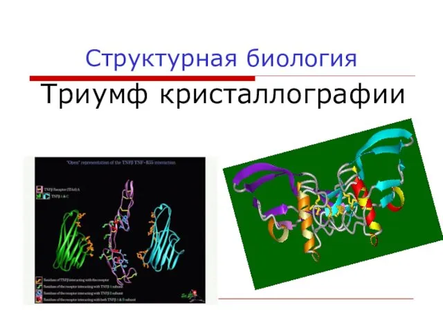 Структурная биология Триумф кристаллографии