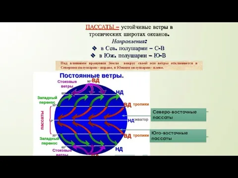 ПАССАТЫ – устойчивые ветры в тропических широтах океанов. Направления: в